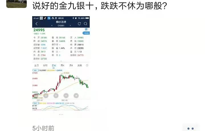 江苏科技布胚布产业，蓬勃发展与创新引领